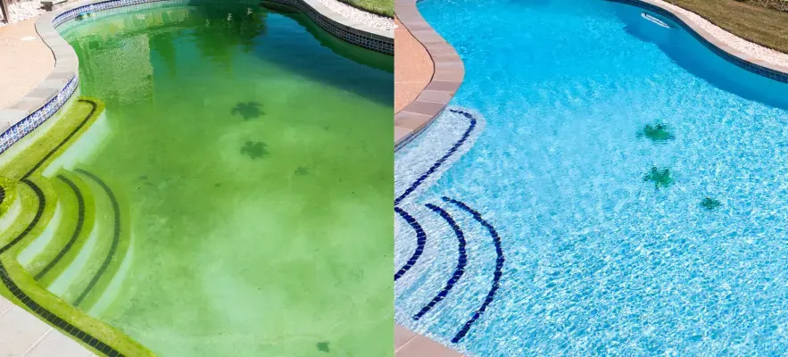 Green pool before and clear pool after proper chlorine treatment